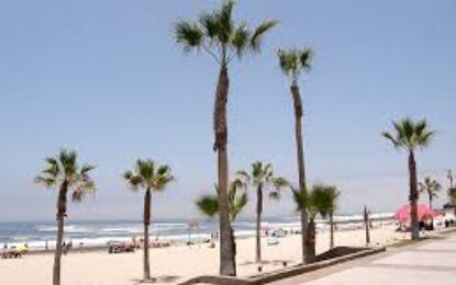 Clima en Iquique pone en evidencia falta de acciones concretas frente al cambio climático en tarapaca