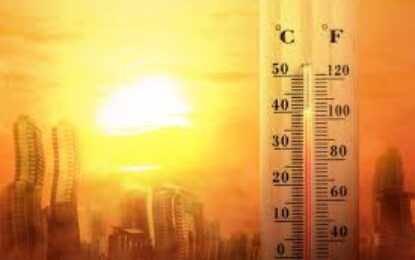 Sol y calor: conoce los alimentos que te ayudarán a enfrentar las altas temperaturas