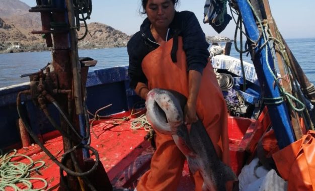 Mujeres de las caletas de Tarapacá sueñan con tener su propia radio FM para conectar a las comunidades costeras